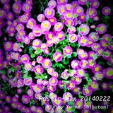 Plastic-Mix 20140222