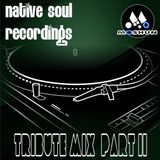 Native Soul Recordings - Tribute mix...Part 2