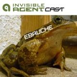 ebauche - Ambient - AgentCast