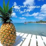 CmlCrkn - Hawaian Live set '2011'