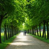 Brina - Grillen im Park