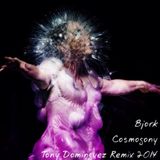 Bjork - Cosmogony (Tony Dominguez Remix 2014)