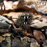 Amazing Autum