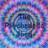 The psychedelic Shed Radio Show 9
