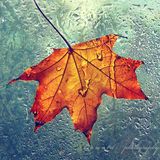 JuanJespar - autumn-2007