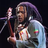 Stephen Marley - Bay Area Vibez Festival, Oakland, CA- 9-26-2015
