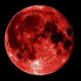 VInz-traktor-mix-272-Bloodmoon-2015