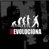 The Real Revolution
