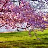 Fasttracks Spring House mixtape