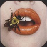 TASTE OF BAD GIRLS (1979-1982)