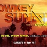 Low Key Sundays w/ DJ Buddy Episode 12 on Traklife Radio (11-03-13)
