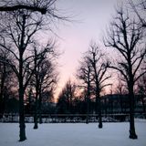 Winter Trance 2013 Pt. 1