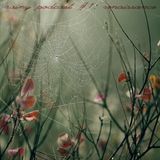 bhzvillain - rainy podcast #1: renaissance