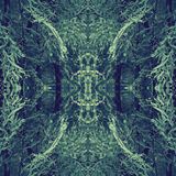A Journey Into Hyperspace | #019