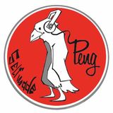 Selfmade Peng Podcast 01 - Patrick Rothermund