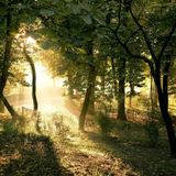 Digg Deep Summer Mix (2013-06-13)