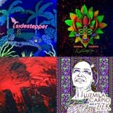 Movimientos show: 25/3/15 w/ new Sidestepper, Bomba Estereo, Luzmila Carpio, Os Nelsons, Skip & Die