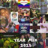 2015 Year Mix