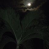 Moon Talking (tambores y voces mix)
