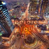 Before You Go