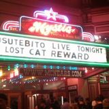 Lost Cat... Reward! Version 1.5