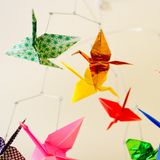 Nouvelles espèces d'oiseaux