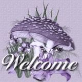 Dj_PsYTomeK´s finest Chart PSY Tracks!!