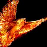 Emission du 10 mai 2014 ::: DJ set de Phoenix Amer
