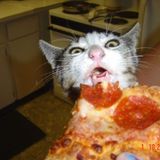 DerSohn_PizzaKatzeMinimalMix