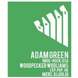 Radar Festival Mixtape - Waiting For Adam Green