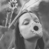 Daydreaming