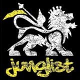 Logo - Live on Rum & Bass Radio - 17.02.2016 - 90s Jungle only special
