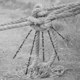 Tightrope walking experiences vol.1: i can walk in your mind