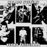 Spev posledného vtáka (2012)