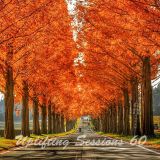 Uplifting Sessions 60