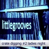 Crate digging # 2 Ladies Nite - mixed by littlegrooves