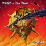 In-depth Interview With Robb Weir (Tygers Of Pan Tang)