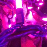 Blue Light Special