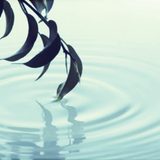 G*SoundFix - NEW BREATH * Sounds Of Nature > 01