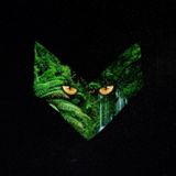Deep Forest Part 1