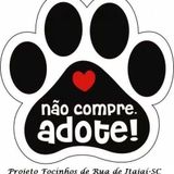 Viva Voz - Animais de Rua | 01/04/2014