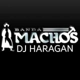 BANDA MACHOS 25 ANOS DJ HARAGAN