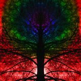 voices of nature