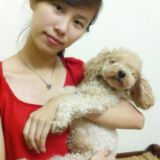 Happy Birthday - Quyết Bỉm Mix #1