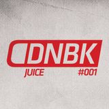 DNBKonferencija 2013 Studio Mix