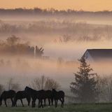 AMixforTheFoggyTuesdayEvening_20130610