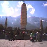 mardi prog