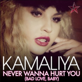 Never Wanna Hurt You (Fedde Le Grande Extended Mix)