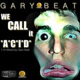 We Call it Acid - Gary Beat
