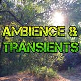 Ambience & Transients 036 - KCSB (06-22-15)